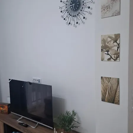 Srecko Lux Vrnjačka Banja