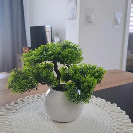 Srecko Lux * Vrnjačka Banja