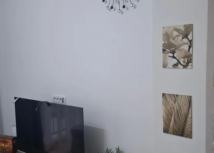 Srecko Lux Vrnjačka Banja