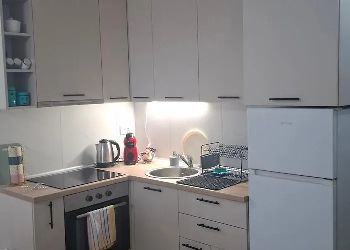 Lägenhet Srecko Lux