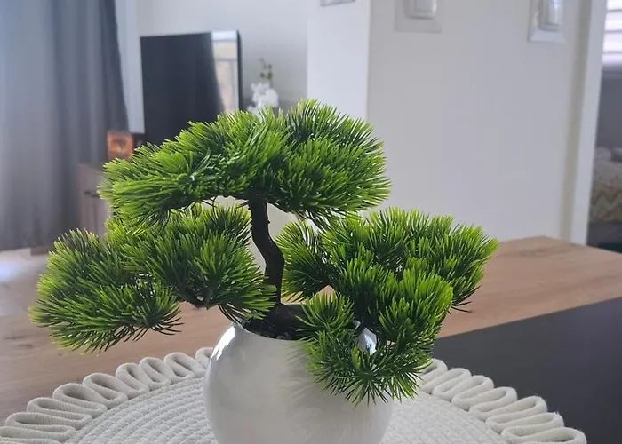 Srecko Lux * Vrnjačka Banja